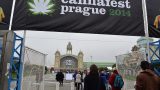 cannafest_02