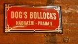 dogs_bollocks_02