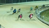 greyhound_park_08