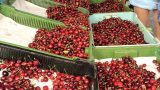 prague_farmers_market_09