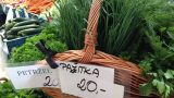 prague_farmers_market_10